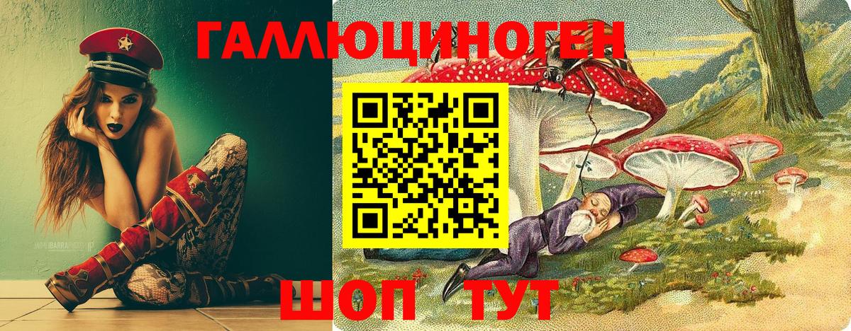 Кунгур  Псилоцибиновые грибы Psilocybe  Псилоцибиновые грибы прущие грибы  Вход с VPN 